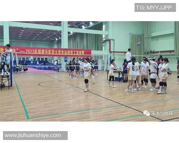 成都排球队战术解析：聚焦排球竞技中的策略与团队协作