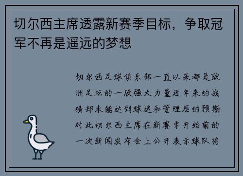 切尔西主席透露新赛季目标，争取冠军不再是遥远的梦想