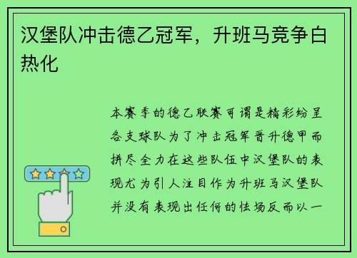 汉堡队冲击德乙冠军，升班马竞争白热化