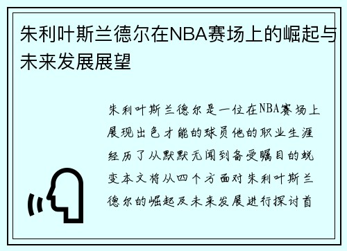 朱利叶斯兰德尔在NBA赛场上的崛起与未来发展展望